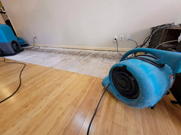 Professional Water Removal technician working in Clayton, IN